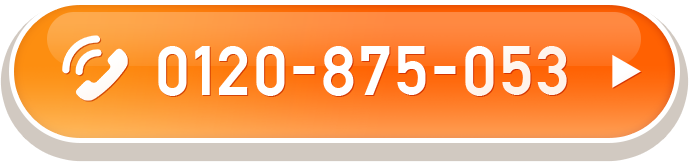 0120-875-053